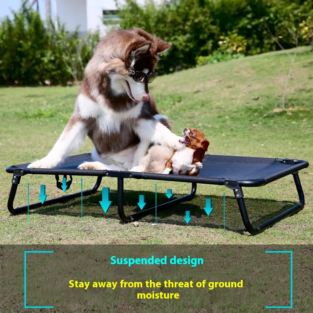 Folding steel frame dog camp bed with mesh sides and included mattress in four available sizes