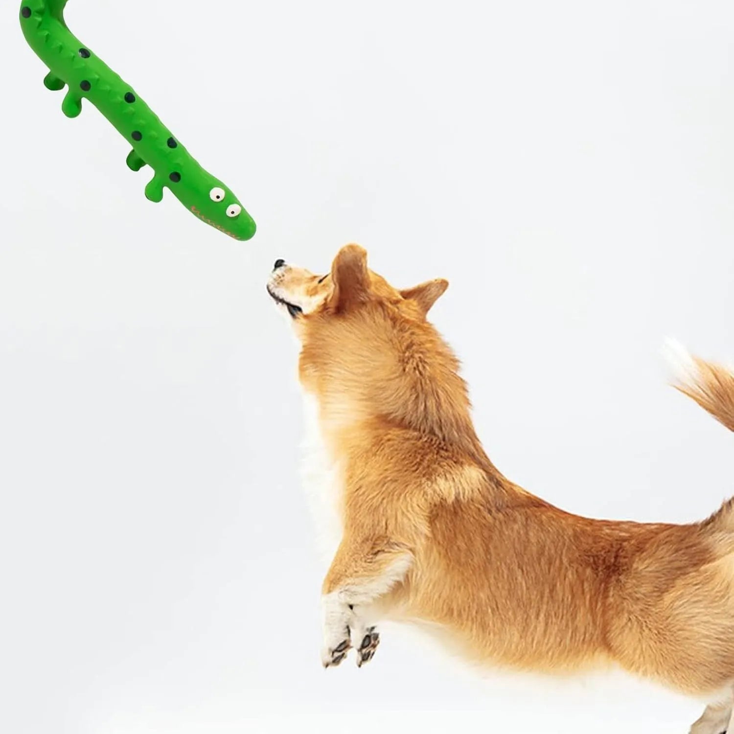 Green cartoon lizard-shaped dog chew toy with a squeaker on a white background.