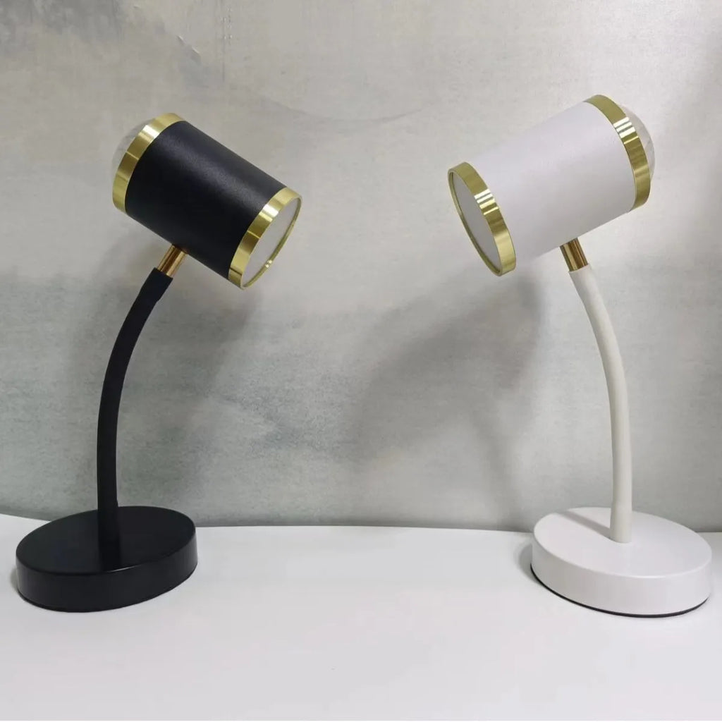 Double-headed photography streaming table lamp with metal holder in black colour option
