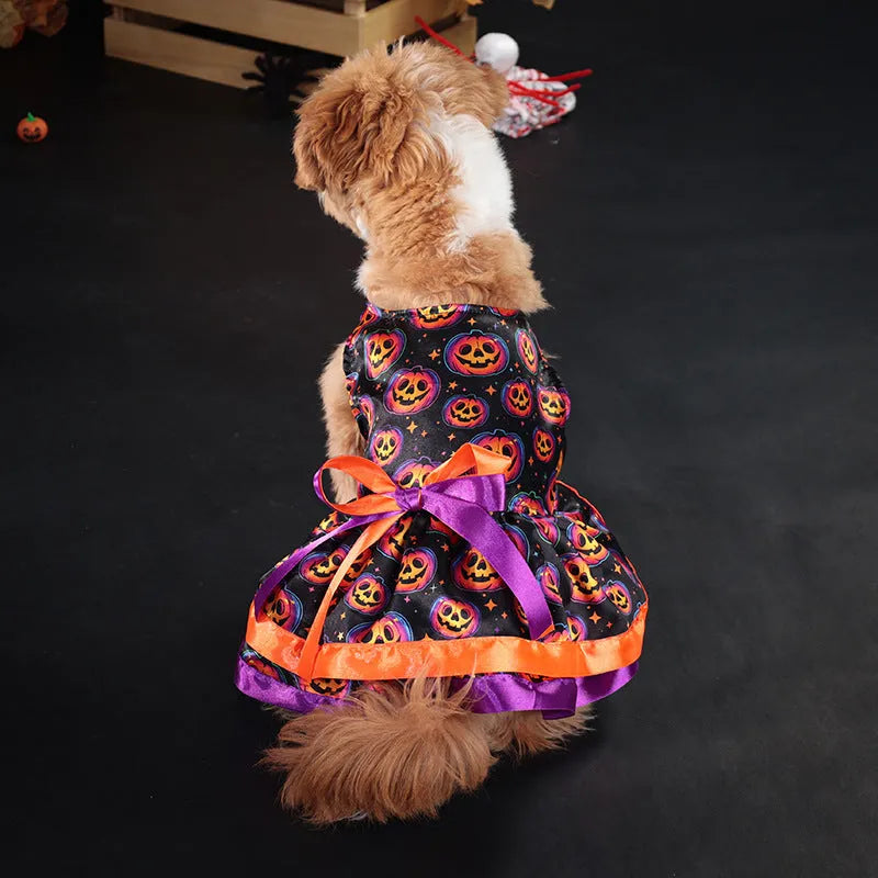 A dog wearing a double-layer Halloween skirt with a colourful pumpkin print.