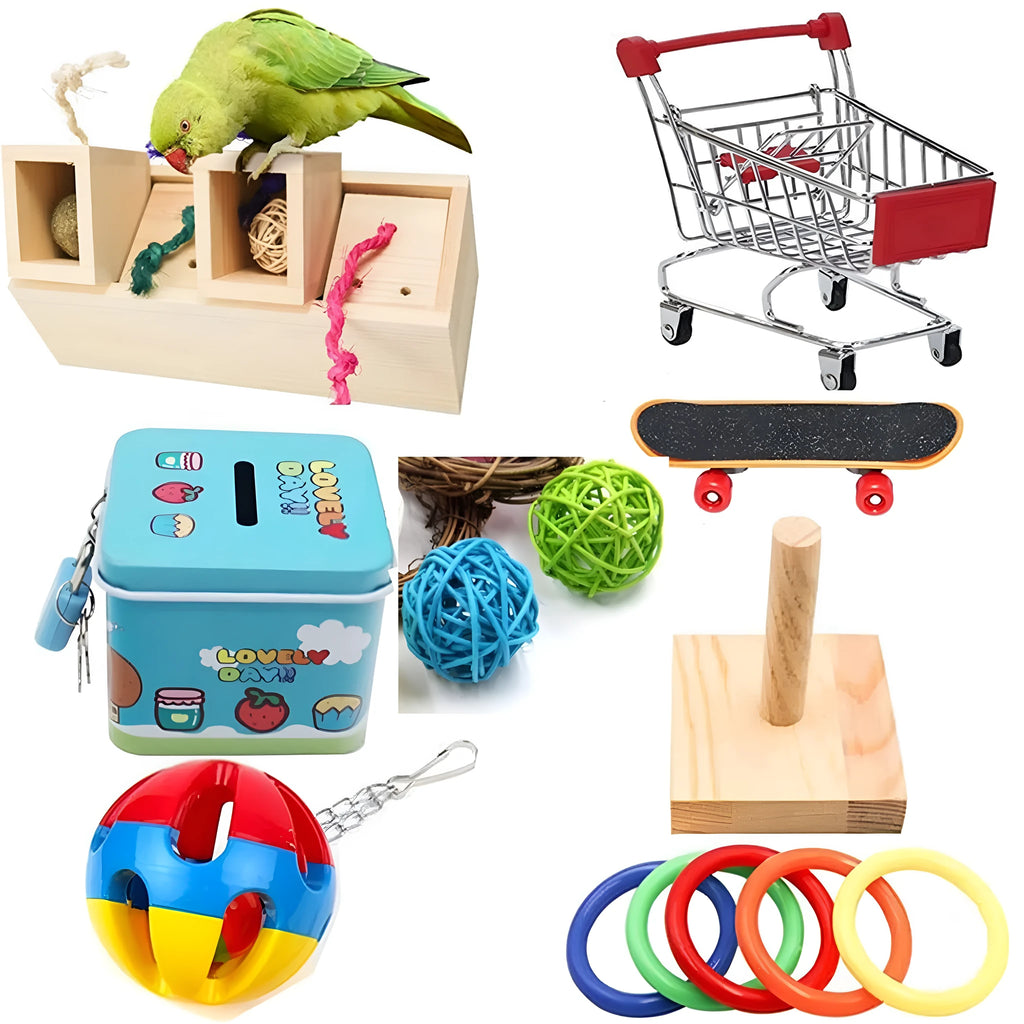 Wooden parrot puzzle training toy set for bird enrichment activities