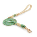 PVC-coated nylon dog hand holding rope with safety buckle in Shadow White or Wizard Of Oz Green colour