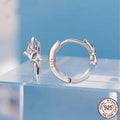 Fashion Star S925 sterling silver earrings with inlaid zircon, colour BSE1210, pair of earrings for women