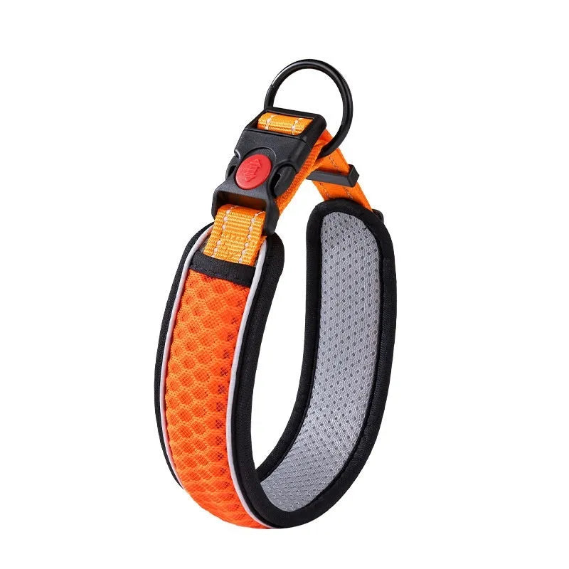 Colourful acrylic dog collar in blue, orange, and red with size options XS to L
