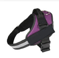 Adjustable no-pull dog harness with mesh-padded buckles and reflective strips on a dog.