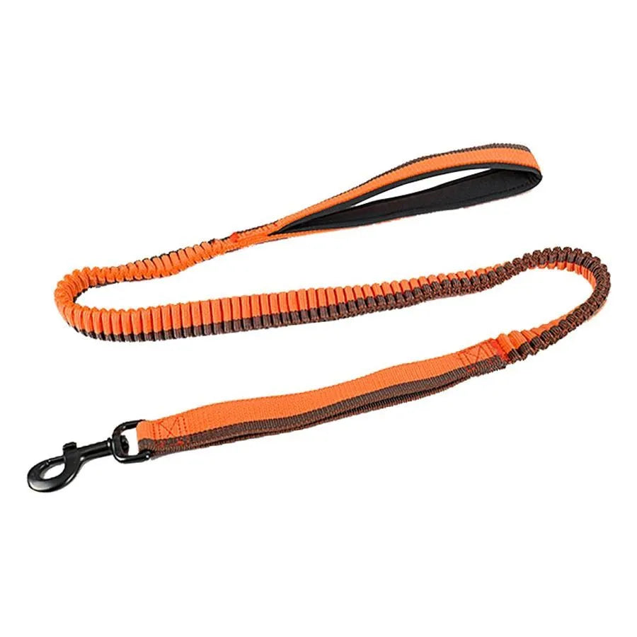 Anti-violence elastic dog training leash in green with zinc alloy clip for medium and large dogs