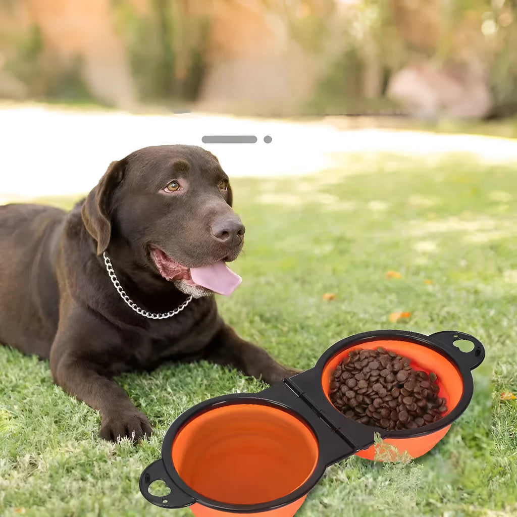 Silicone folding double pet bowl shown open and folded flat in various colours
