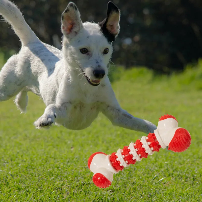 Blue bone-shaped interactive dog toy for small breeds with a treat holder in the centre.
