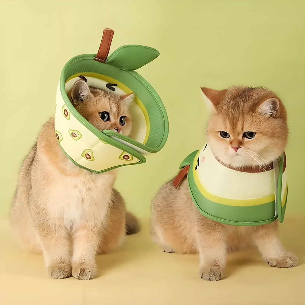 Soft EPE foam cat recovery cone collar with adjustable strap and folding edges