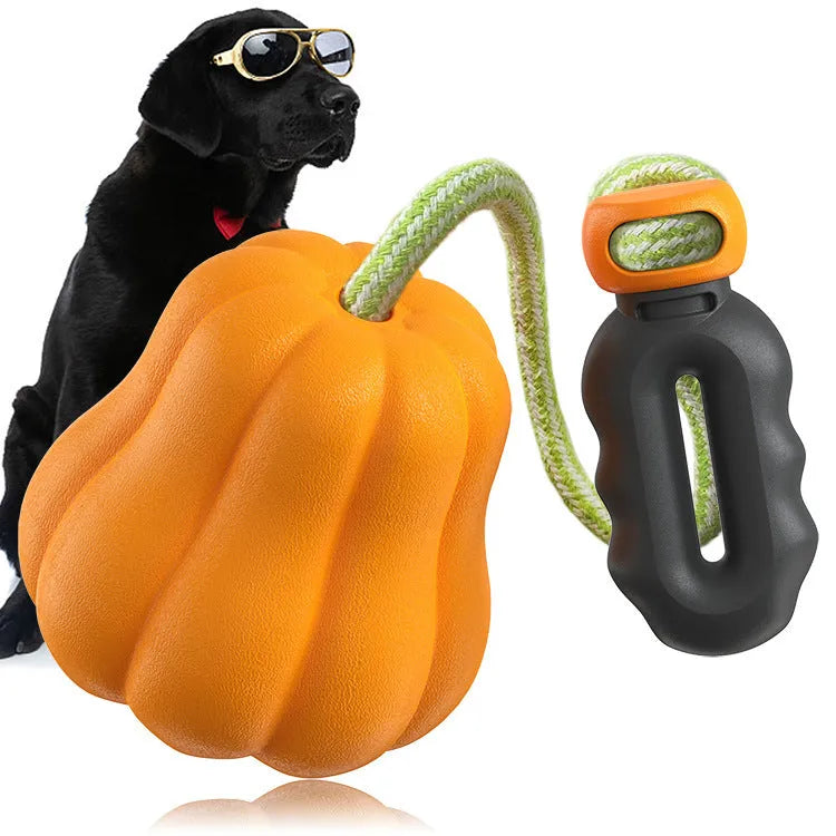 Single pumpkin coloured plastic molar dog toy with an attached rope for chewing and fetch.