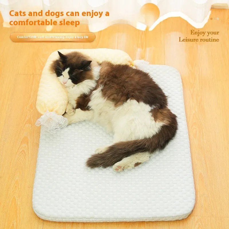 Candy color dog mat in blue candy pad style for small to large dogs up to 40kg