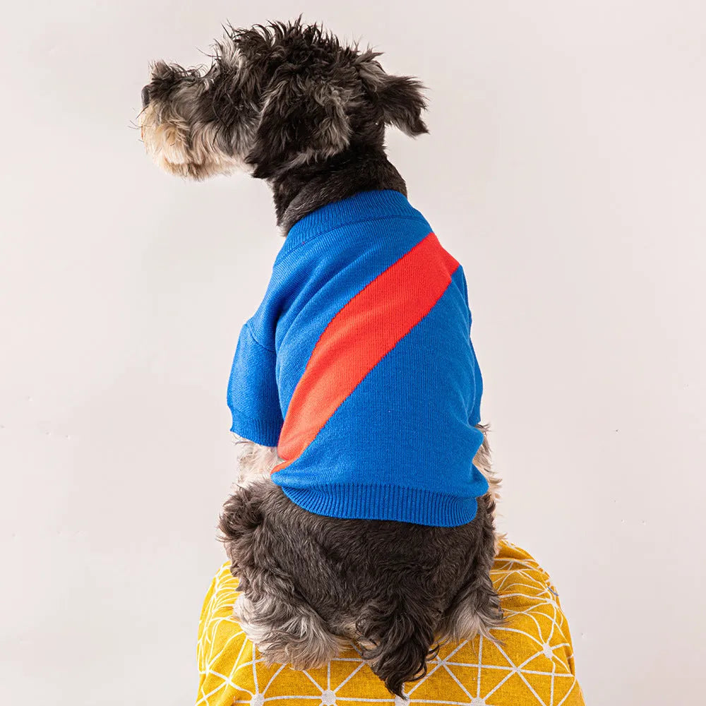 Wool dog sweater in multiple colours and sizes for corgi and poodle clothing