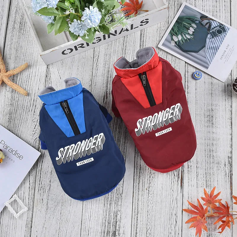 Red or blue thick cotton V-shaped splicing coat for dogs on size chart.