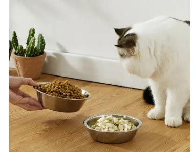 Stainless steel pet food bowl for dogs and cats with non-slip base in various sizes.