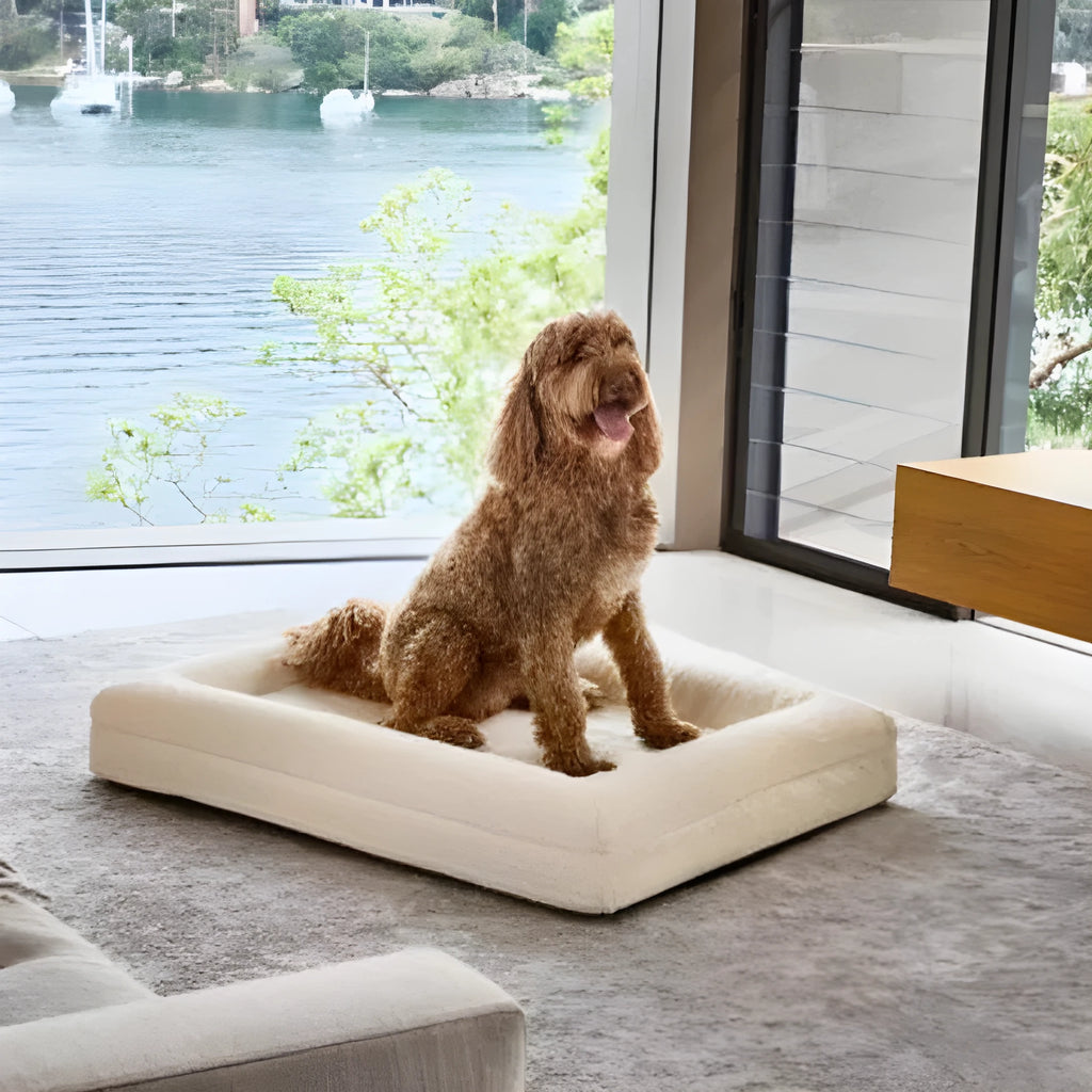 Rectangular pet sofa bed with thickened mattress in a living room setting, available in multiple sizes and colours