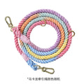 Woven rainbow coloured dog leash with clips at both ends, shown in a choice of colours with silver or gold fittings.