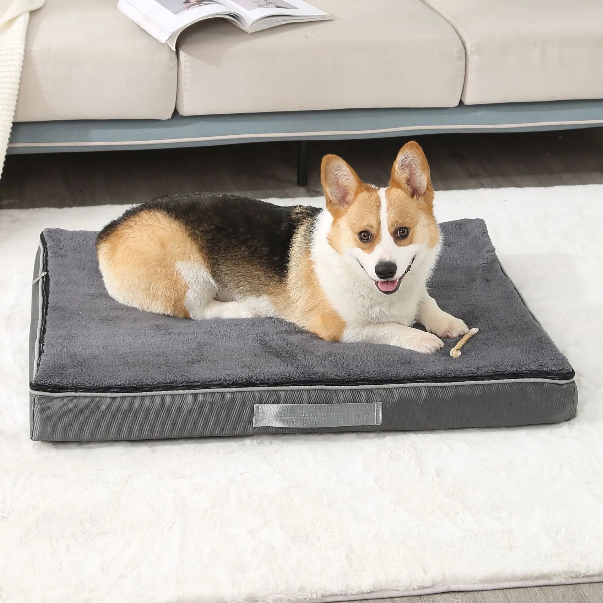 Removable washable memory sponge pet dog mat in brown, shown with size dimensions.