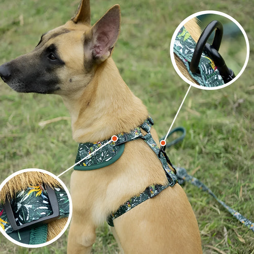 Six-piece adjustable dog harness set with leash, collar, waste bag, bow, and scarf on a blue background.