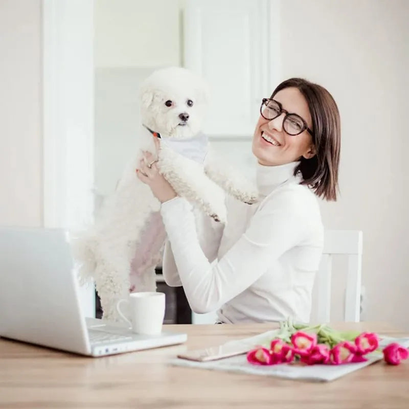Blank white polyester dog scarf shown flat with dimensions for four size options available for thermal transfer customisation