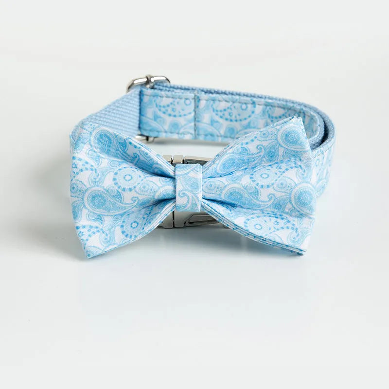 Zinc alloy buckle lettering dog collar in Paisley pattern on a medium-sized dog