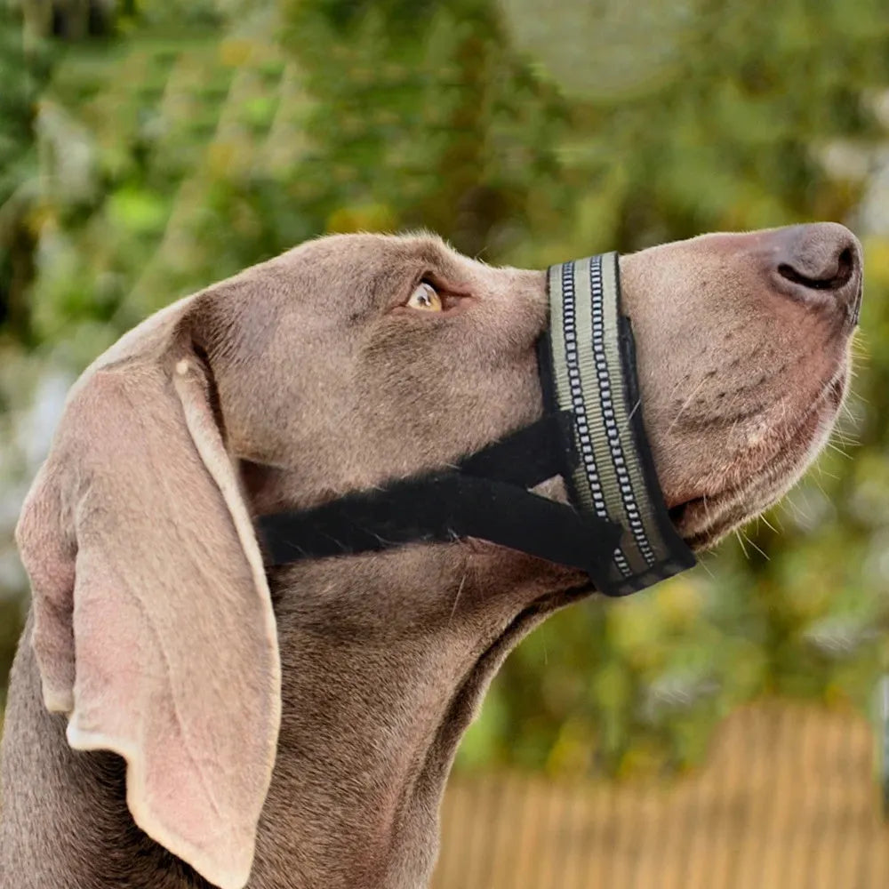 Adjustable reflective dog muzzle for large breeds like Huskies, shown in blue on a dog's snout.