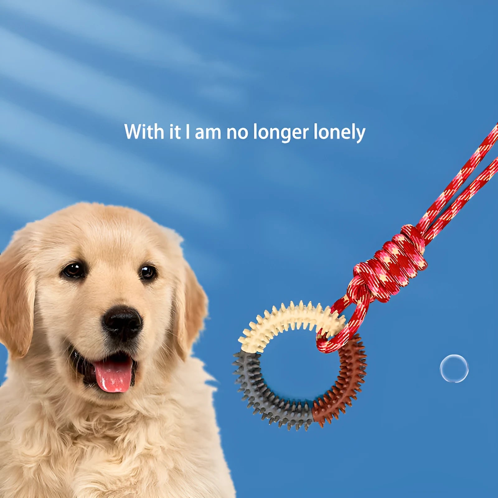 Blue braided rope dog toy with knots measuring 43cm long for puppy chewing