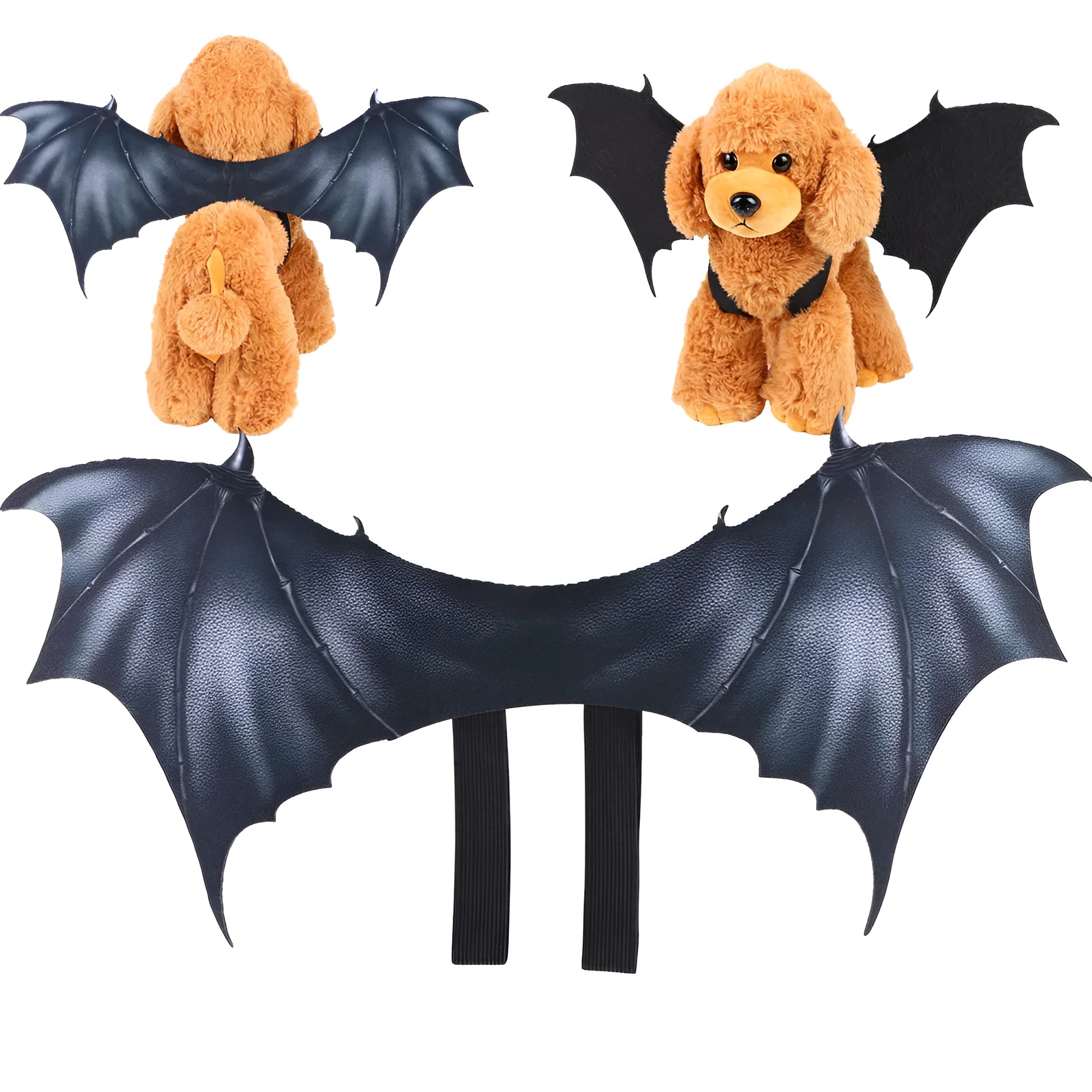 Black cloth bat wing Halloween costume for a dog, shown in medium 55cm size.