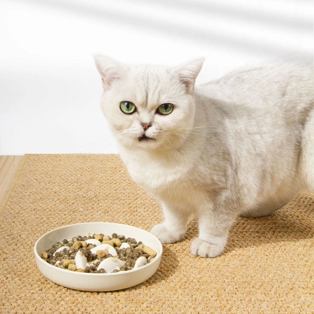 Coloured melamine slow feeding bowl for cats with raised interior pattern