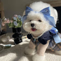 Blue adjustable princess bow hair band on a dog, showing the jacquard ribbon material and tension adjustment.