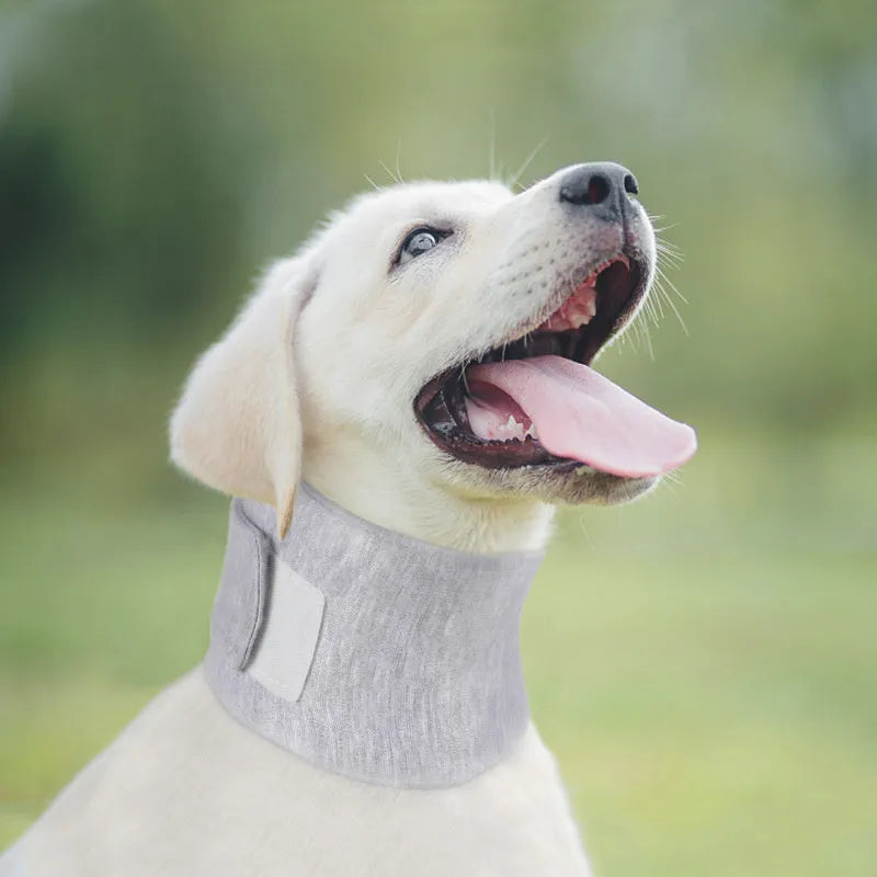 Soft fabric cat recovery collar in grey colour showing adjustable design for neck support