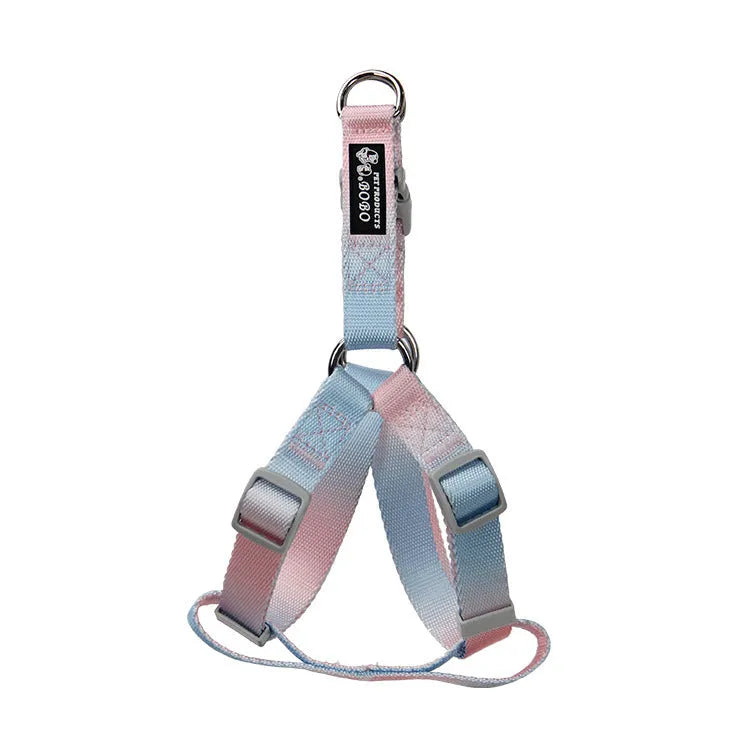 Gradient colour dog leash set showing nylon collar, harness, and matching lead in pink and yellow combination