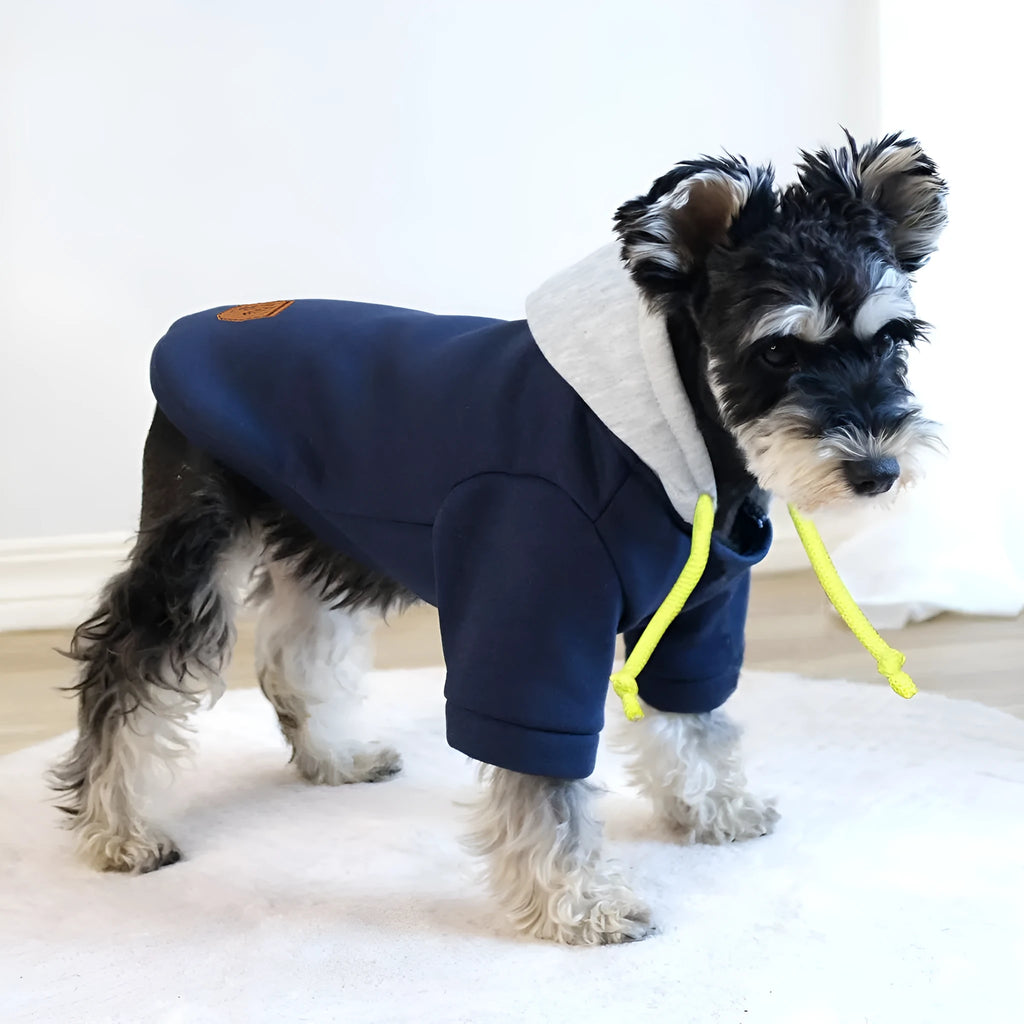 Dark red hooded dog pullover with contrast trim on a canine model
