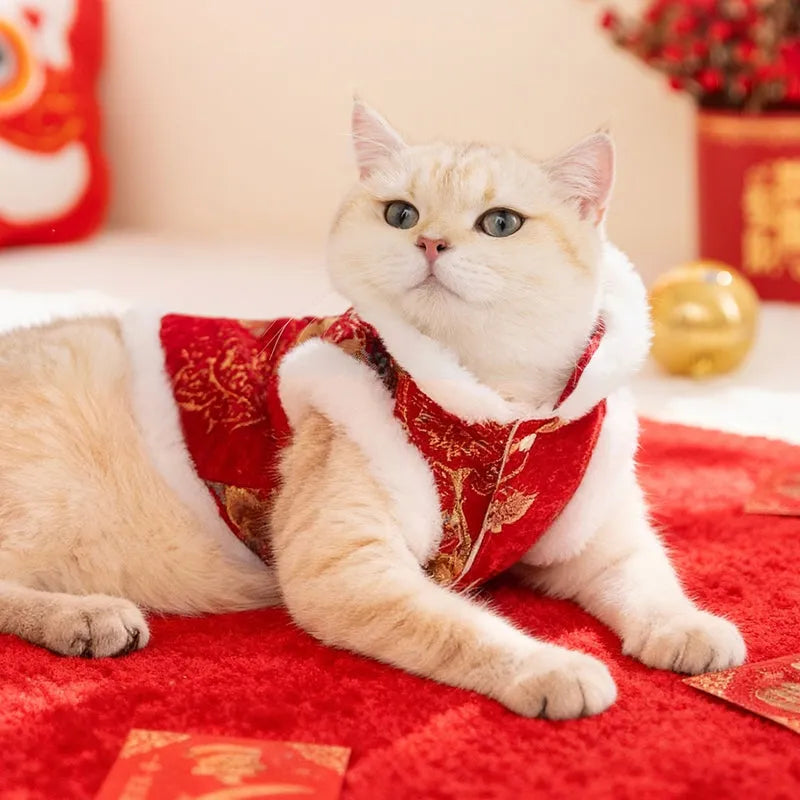Red brocade pet vest with Chinese knot buttons and faux fur trim for Lunar New Year