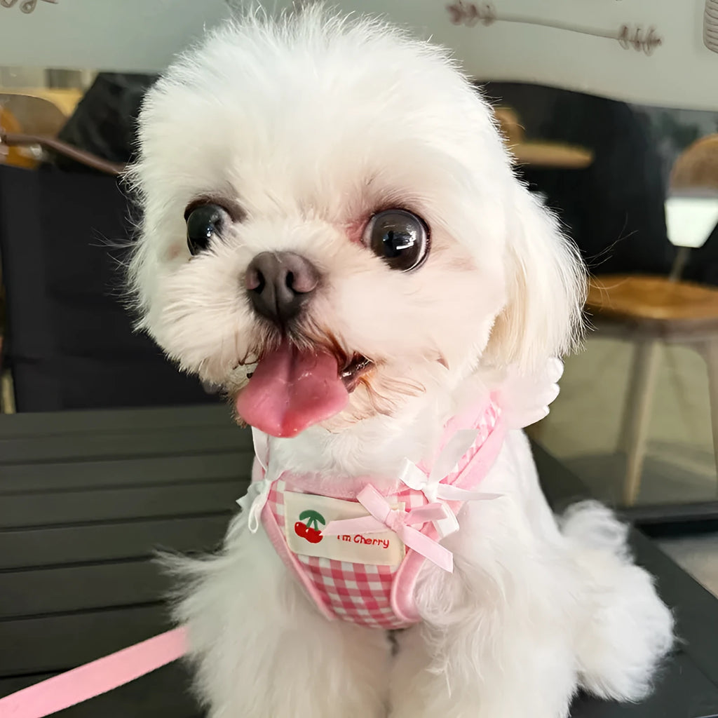 Pink cotton chest and back harness with hand-holding rope for a small dog on a white background.