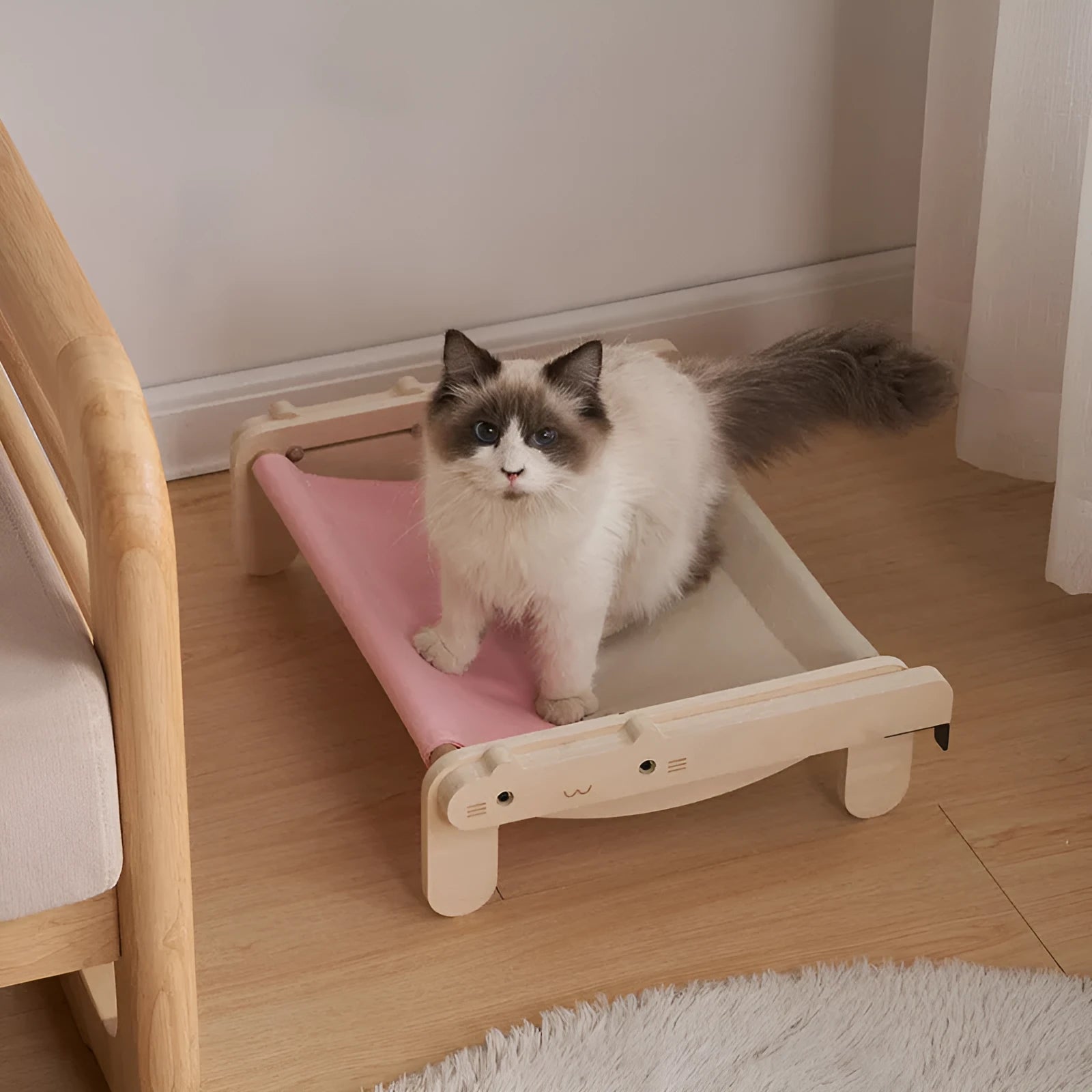 Solid wood pet bed with removable cushion in grey blue colour option