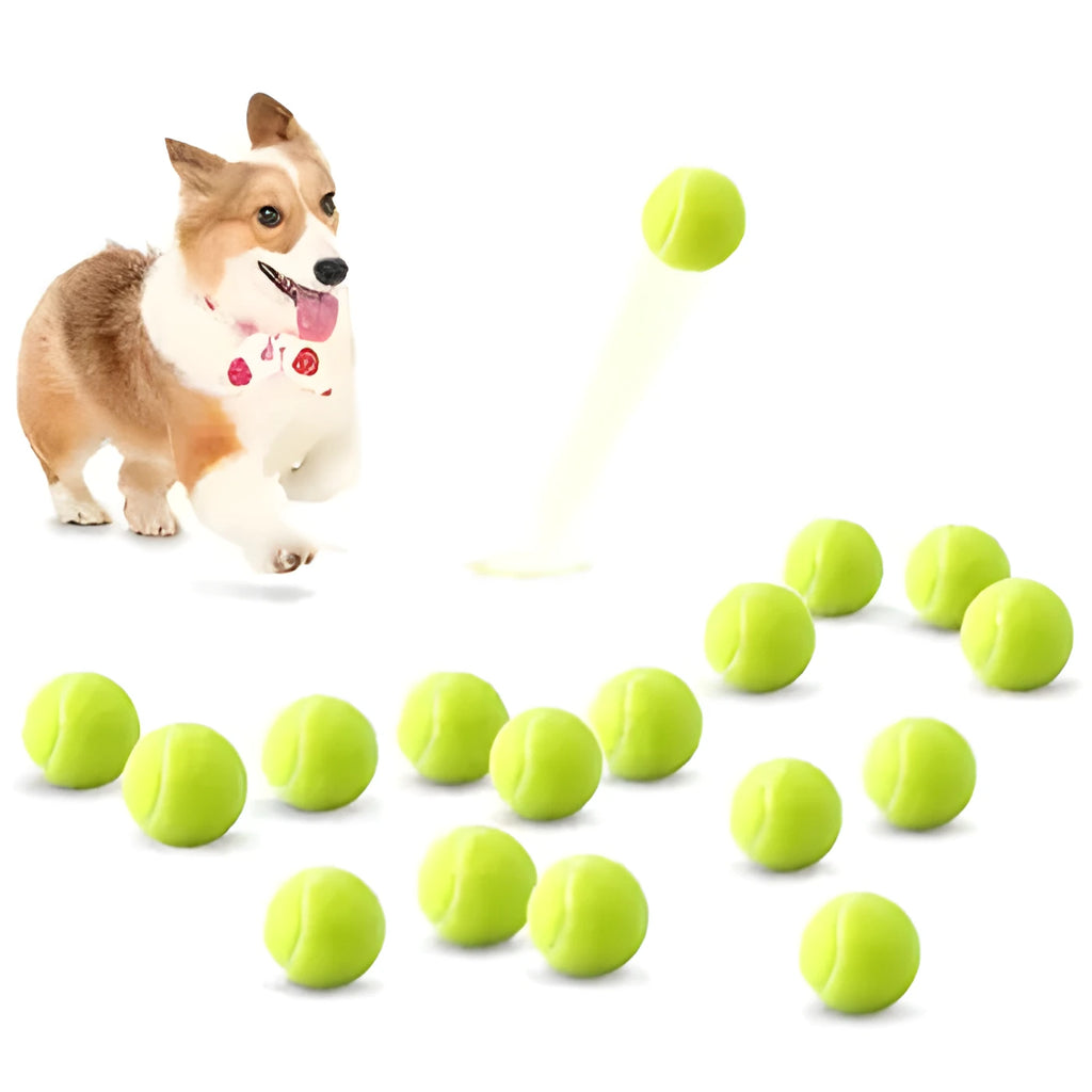 Bright pink, blue, yellow, green, and orange 6.3cm rubber tennis balls for dogs on grass.