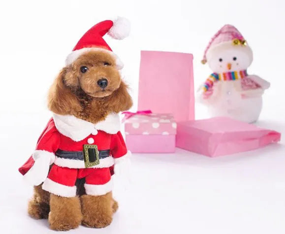 Red dog Christmas sweatshirt with matching hat on a small breed dog, polyester fabric, five sizes available XS to XL