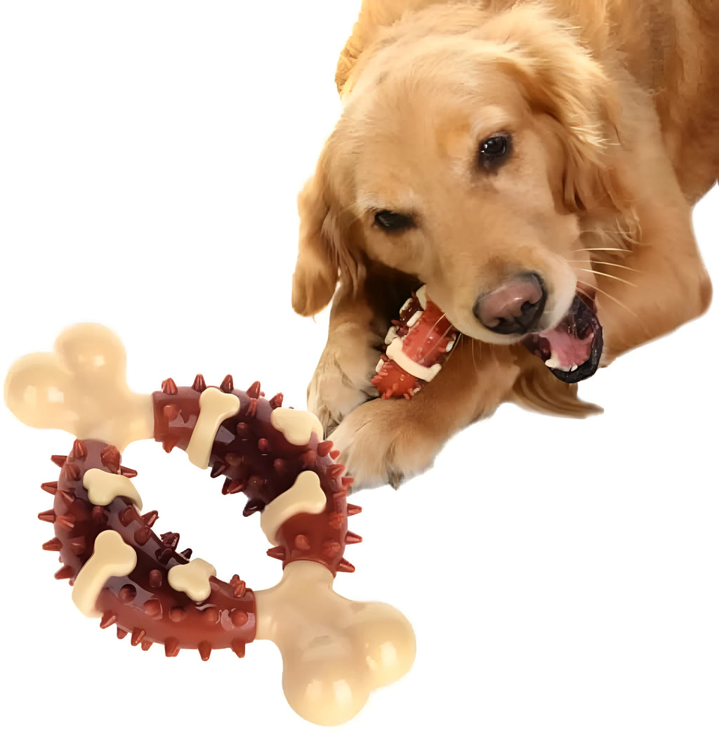 Natural rubber bone-shaped dog chew toy for teeth cleaning and anxiety relief in two sizes