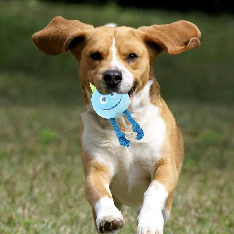 Blue and yellow cartoon dog squeaky toy with knot design made from cotton rope