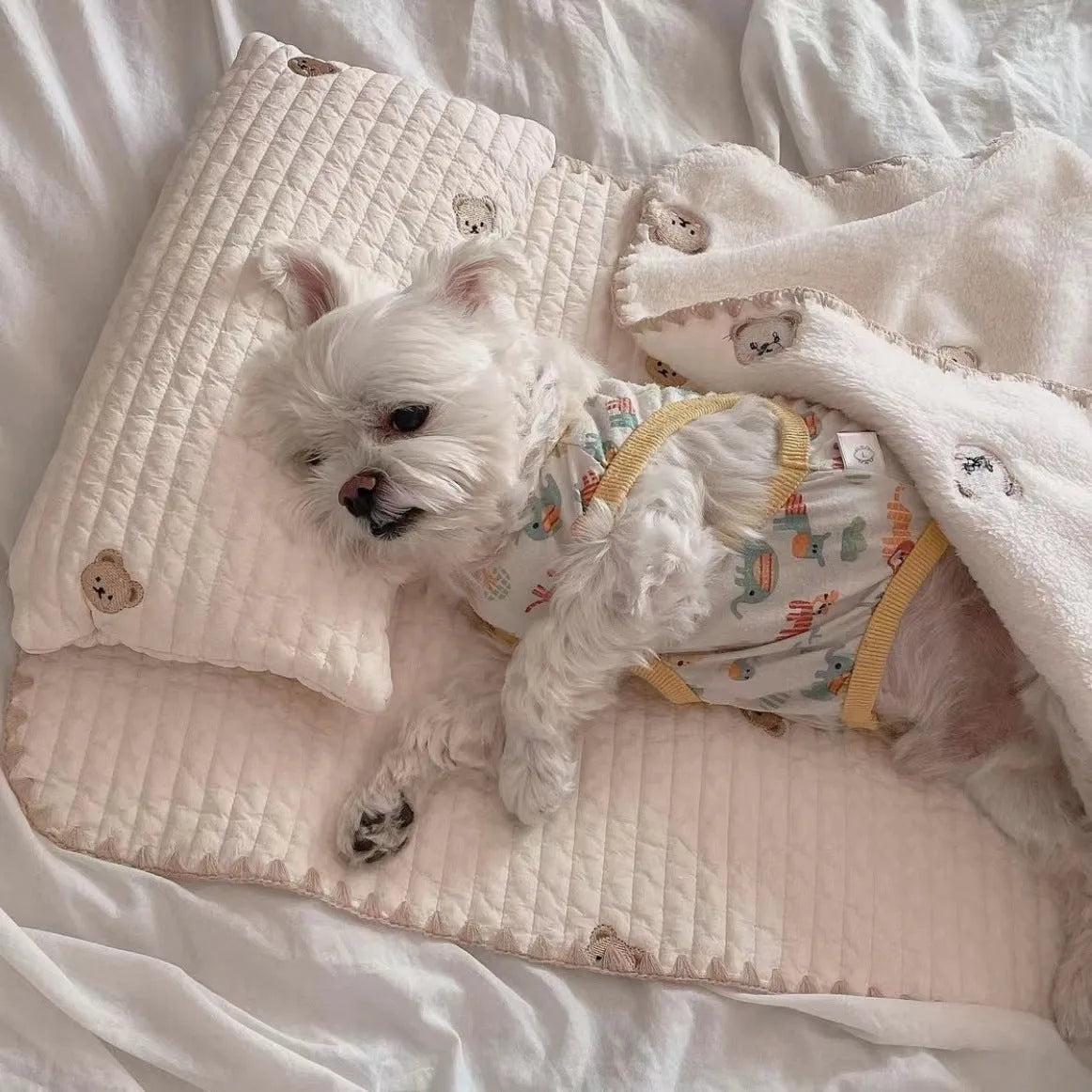 Square dog bed set with pillow mattress and quilt in simple bear pattern design