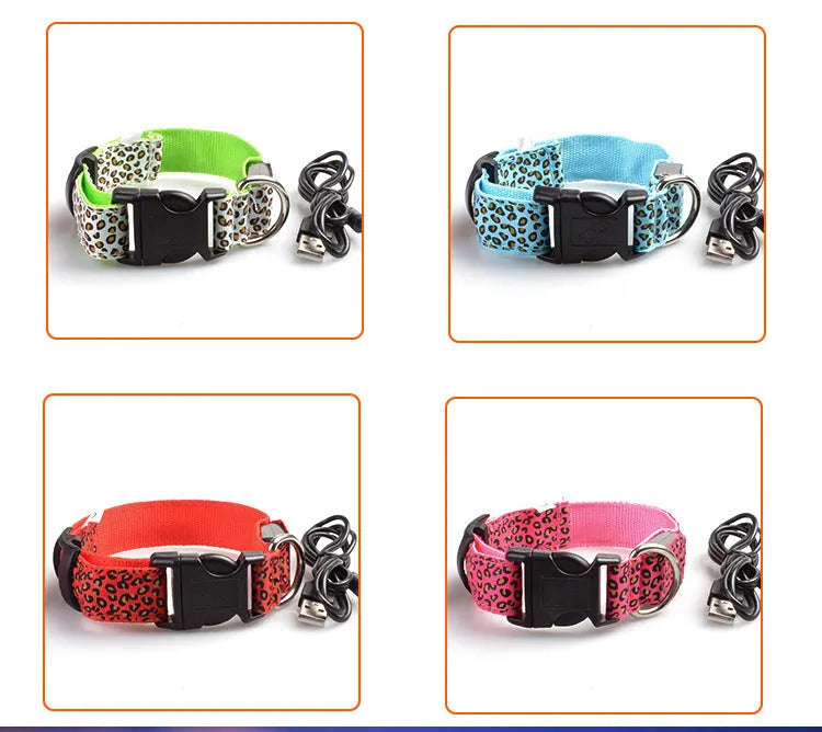 Rechargeable LED dog collar made of nylon webbing with USB charging available in multiple colours and sizes for small to large dogs