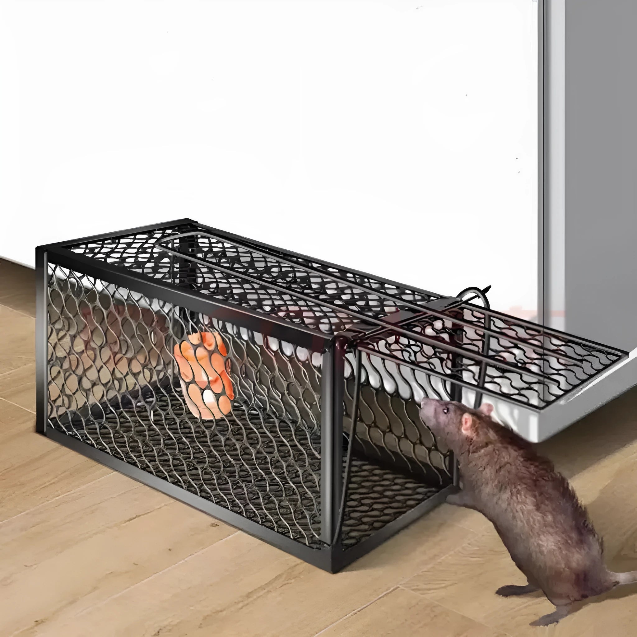 Automatic mouse cage trap with clear plastic dome and one-touch release lever at the base on a wooden floor.
