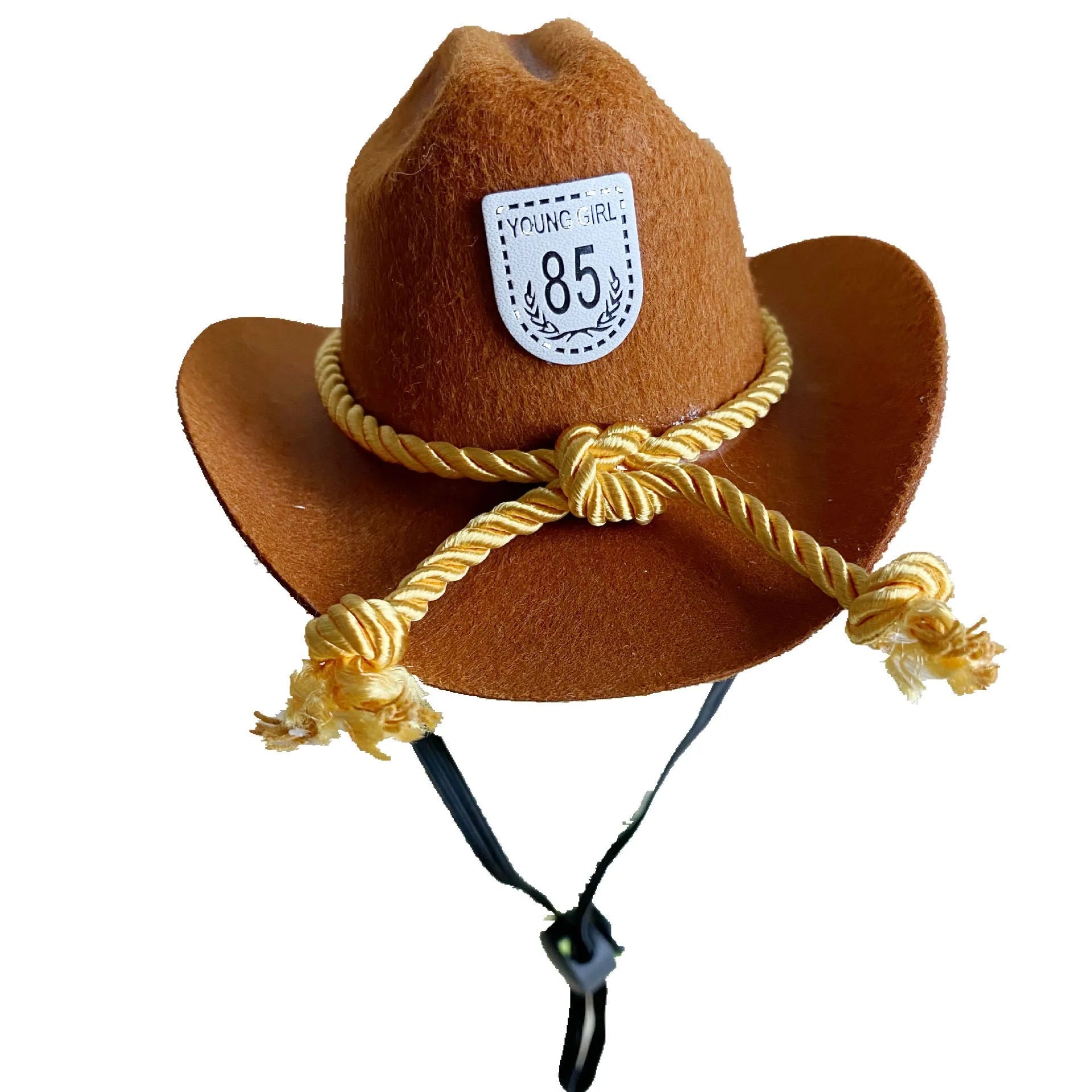 Brown British cowboy hat for a cat on a white background with a black ribbon trim.