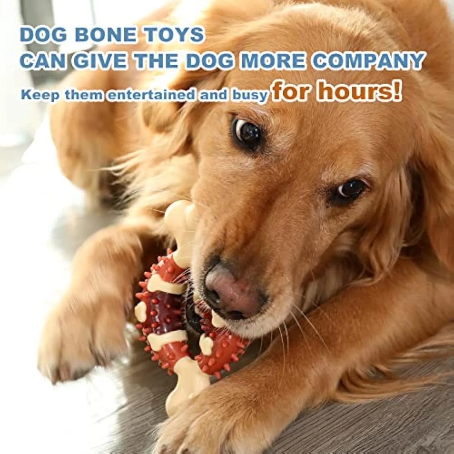 Natural rubber bone-shaped dog chew toy for teeth cleaning and anxiety relief in two sizes