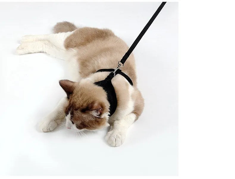 Anti-skidding mesh cat harness in Black with adjustable chest 28-38cm and 120cm leash on cat