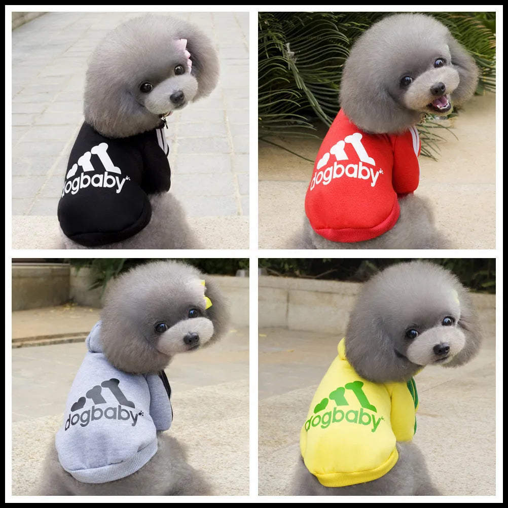 Fashion pet hoodie for small dogs cats in black with hood for Yorkie Chihuahua