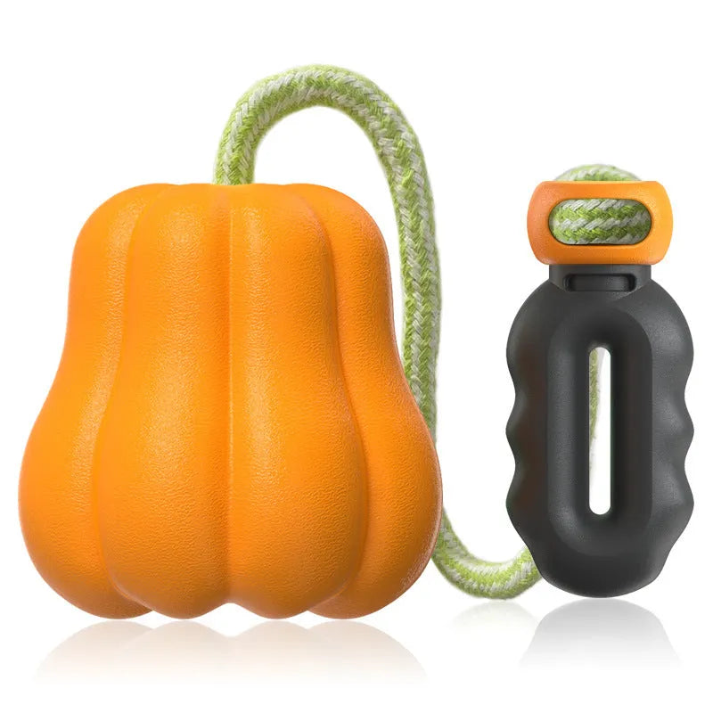 Single pumpkin coloured plastic molar dog toy with an attached rope for chewing and fetch.
