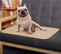Reusable dog urine pad in beige with non-slip bottom and TPU waterproof layer, machine washable