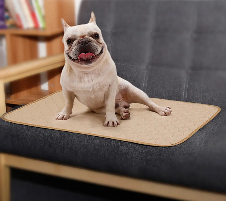 Reusable dog urine pad in beige with non-slip bottom and TPU waterproof layer, machine washable