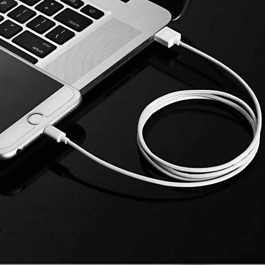 5V 2A USB travel charger with 1m cable compatible with iPhone and iPad models